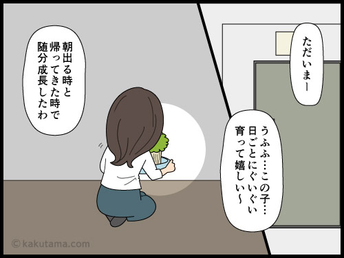 職場には緑が欲しいので豆苗を育てている派遣社員の漫画