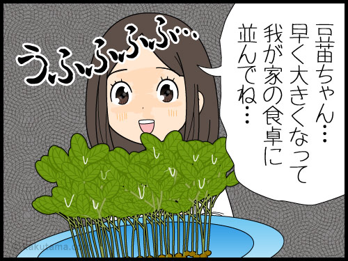 職場には緑が欲しいので豆苗を育てている派遣社員の漫画
