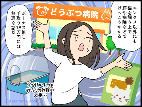 妄想の猫や彼や旅行などが増えていく、低収入の派遣社員の4コマ漫画