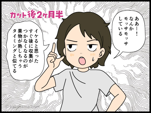 ショートヘアが美容院へ行くサイクルを考える4コマ漫画