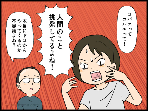 家にいるコバエにイライラさせられる主婦の4コマ漫画