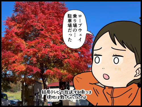 テレビを見て紅葉スポットへ行ったら、紅葉は既に終わっていて、駐車場に残る紅葉がきれいだった4コマ漫画