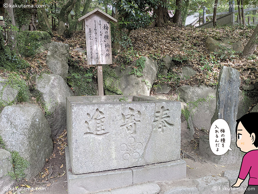 梅の種納め所の写真