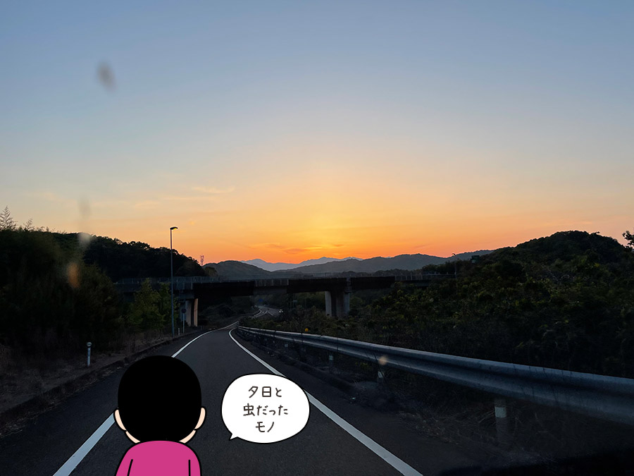 山口県の夕日の写真