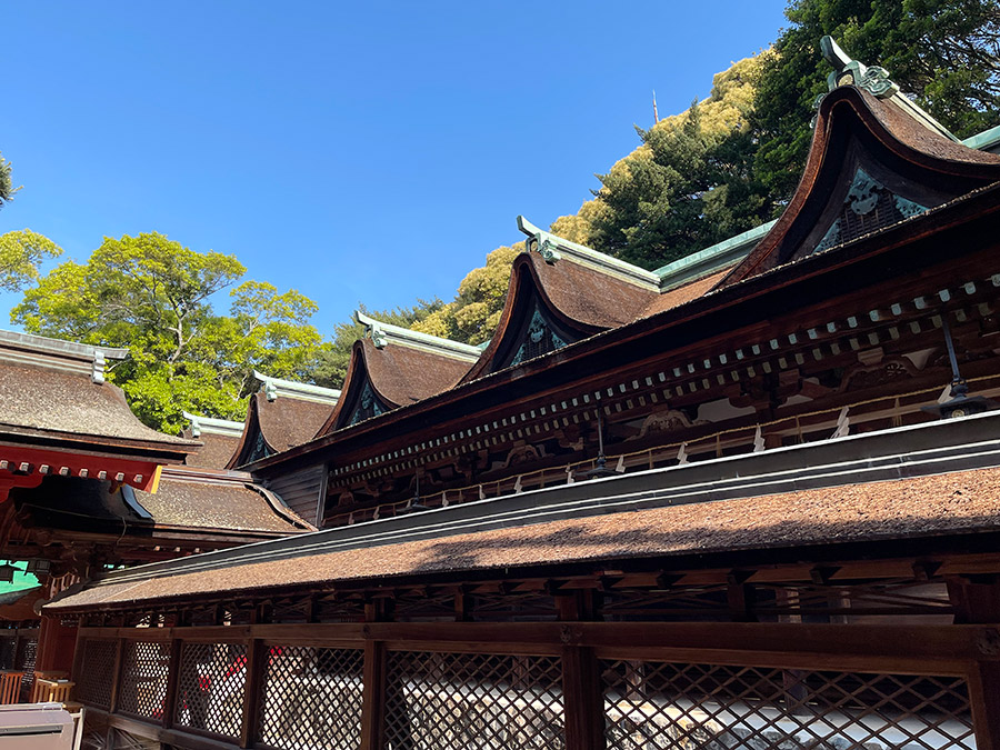 山口県下関市の一の宮「住吉神社」の写真