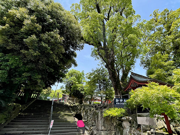 鹿児島神宮の写真