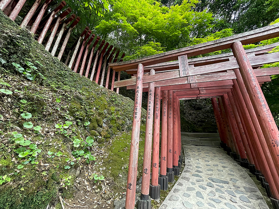 祐徳稲荷神社の写真