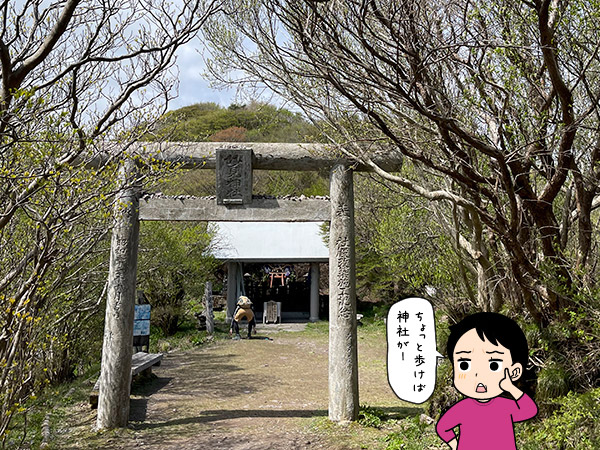 妙見神社の写真