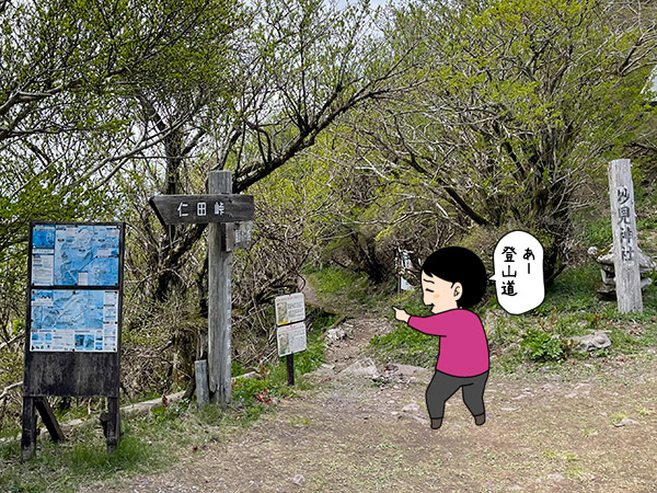 妙見神社からの登山道の写真