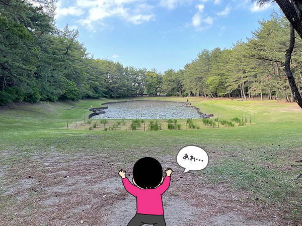 宮崎県の御池(みそぎ池)の写真