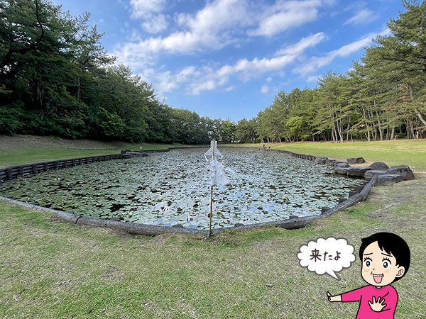 宮崎県の御池(みそぎ池)の写真