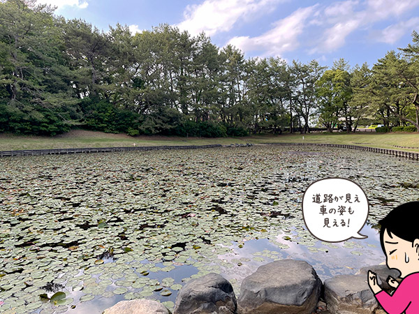 宮崎県の御池(みそぎ池)の写真