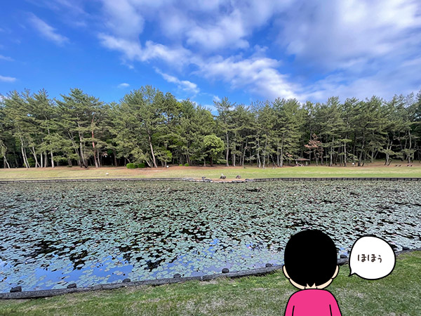 宮崎県の御池(みそぎ池)の写真