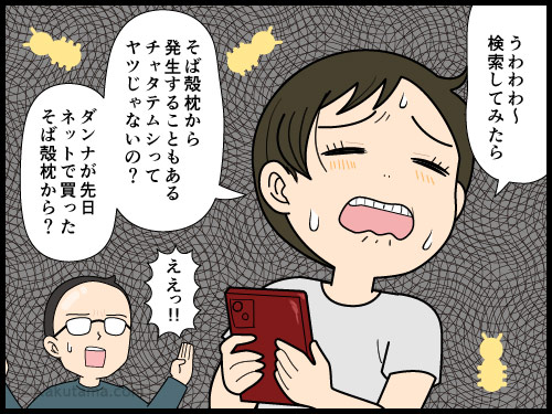 そば殻枕を使っていたせいか？布団にチャタテムシが発生した4コマ漫画