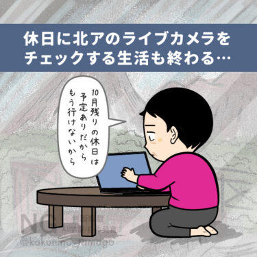 ライブカメラチェックするイラスト