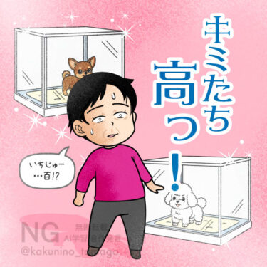 ペットショップの子犬の高さにビビる人のイラスト