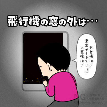 空路を違って羽田周辺の光が見えなかった人のイラスト
