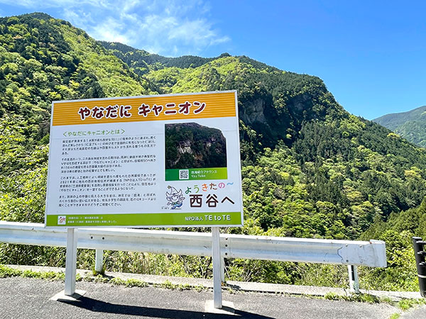 四国最大級峡谷・柳谷キャニオンの写真
