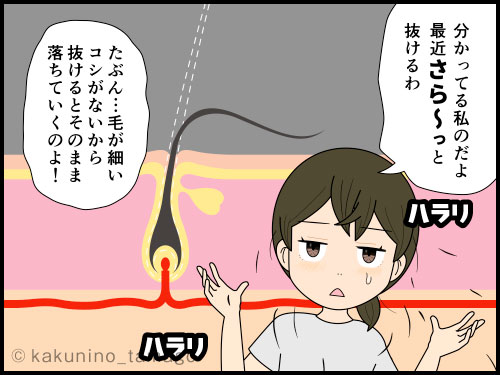 中年になり、自身の抜け毛に悩む主婦の4コマ漫画