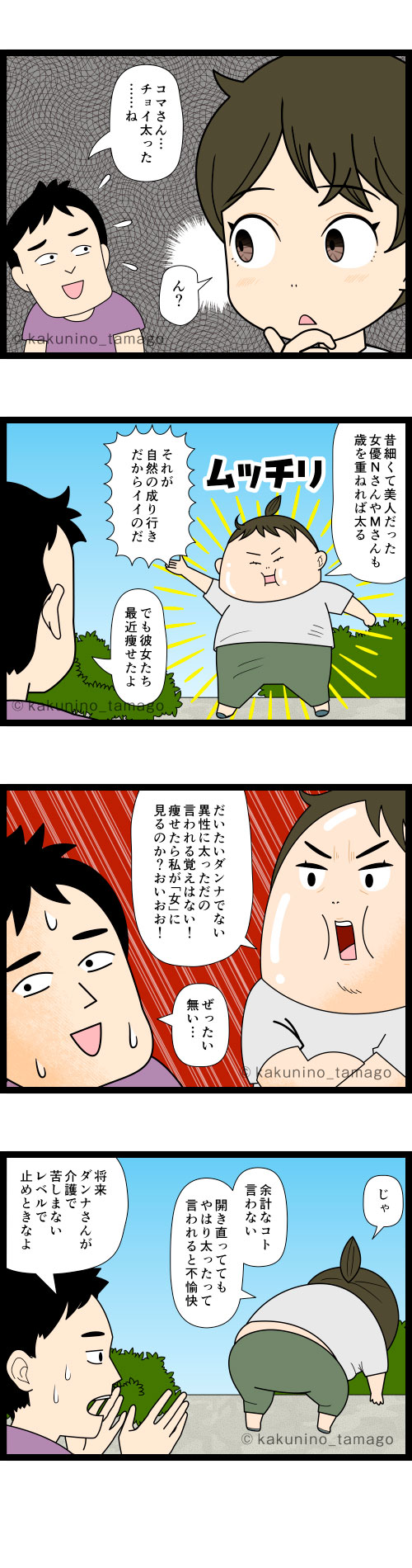 他人に太ったって言われると不愉快に感じる中年女性の4コマ漫画