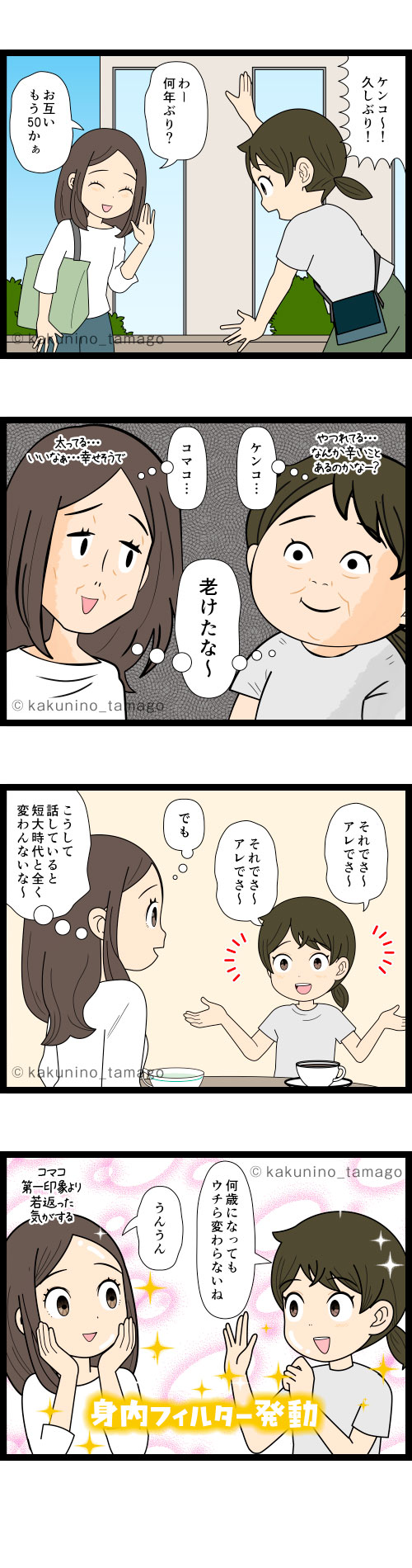 数年ぶりの友人と会うと、お互いの老け具合にビックリするが、話しているうちにそんなに老けて見えなくなるアラフィフ女性同士の4コマ漫画