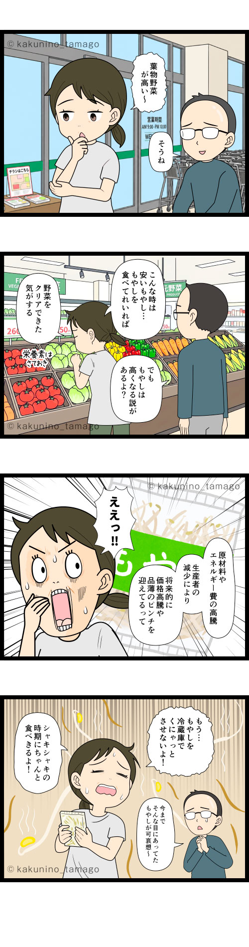 一番安い「もやし」が将来危機的状態にあると知ってショックを受ける主婦の4コマ漫画